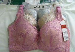 批發(fā)優(yōu)質(zhì)品牌文胸，舒適柔軟，廠家直供，價格實惠，圖片實拍